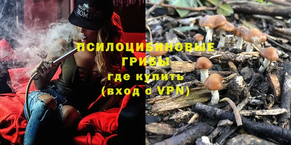 наркотики Бородино