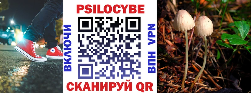 Псилоцибиновые грибы Psilocybine cubensis  где можно купить   Волжский 